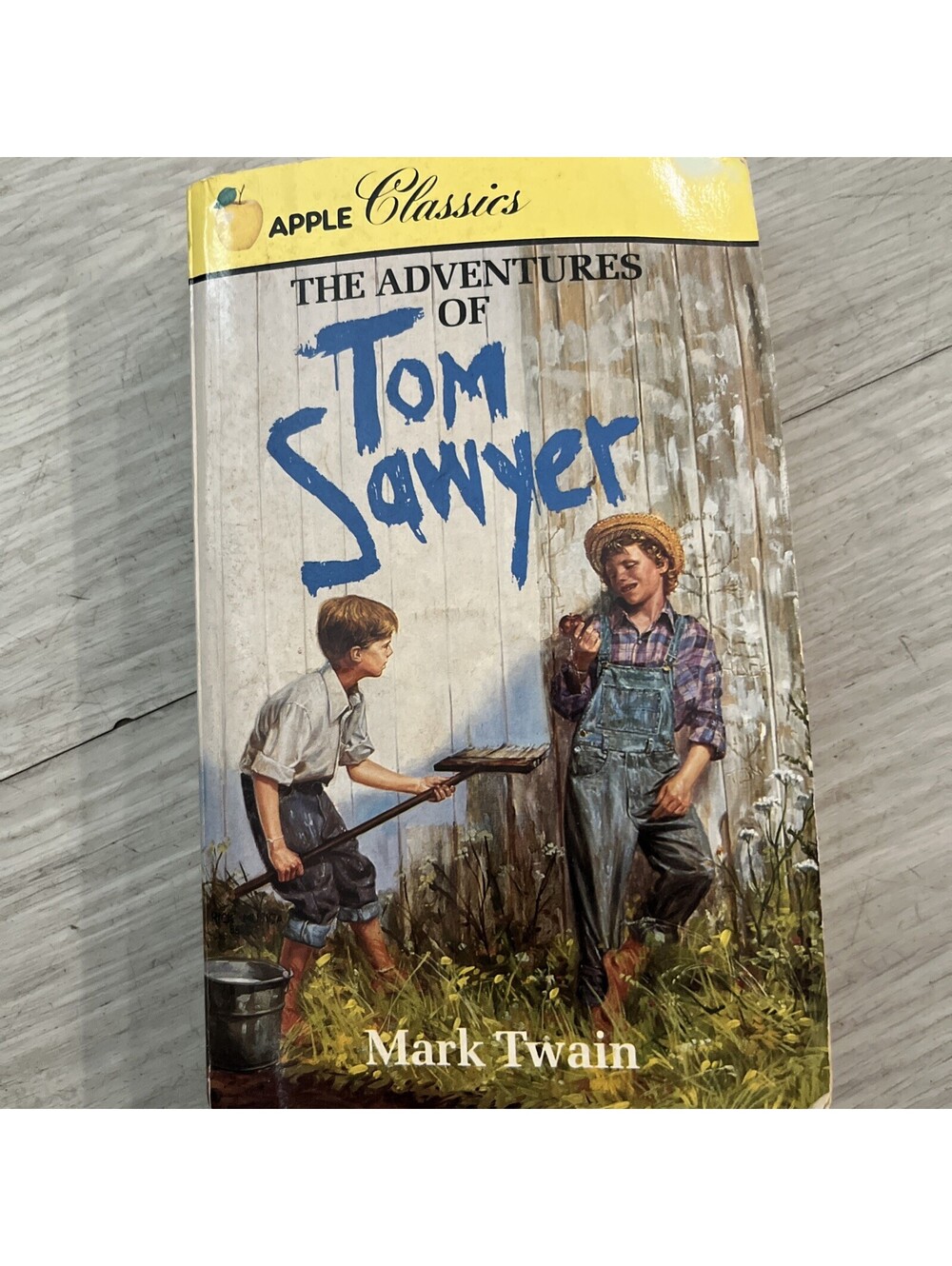 Adventures of Tom Sawyer (Apple - Paperback, by Twain Mark